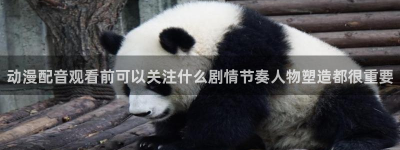 omofun动漫高清全集:动漫配音观看前可以关注什么剧情节奏人物塑造都很重要配图