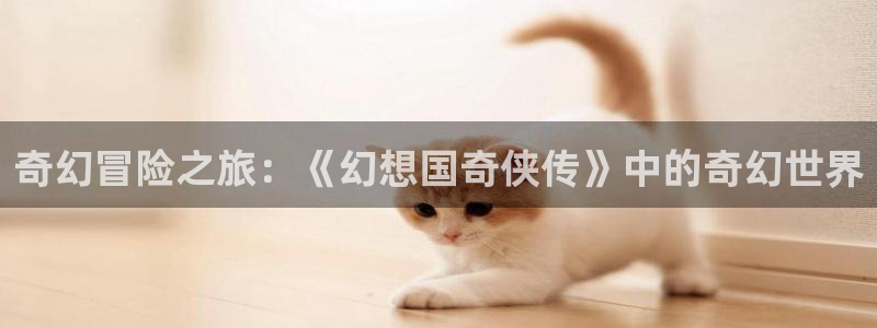 omofun网页版在线观看:奇幻冒险之旅:《幻想国奇侠传》中的奇幻世界配图