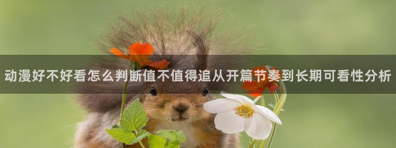 omofun新番列表:动漫好不好看怎么判断值不值得追从开篇节奏到长期可看性分析配图