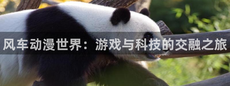 omofun热门搜索:风车动漫世界:游戏与科技的交融之旅配图