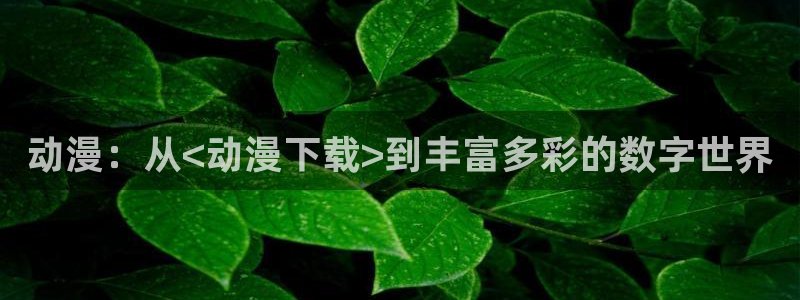 omofun动漫分类推荐:动漫:从<动漫下载>到丰富多彩的数字世界配图