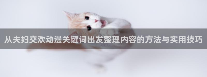 omofun动漫人气排行:从夫妇交欢动漫关键词出发整理内容的方法与实用技巧配图