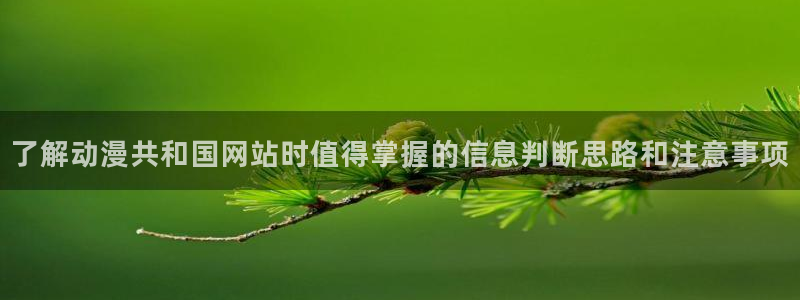 omofun动漫在线:了解动漫共和国网站时值得掌握的信息判断思路和注意事项配图