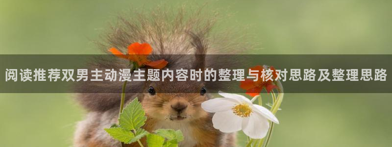 omofun动作动漫：阅读推荐双男主动漫主题内容时的整理与核对思路及整理思路配图