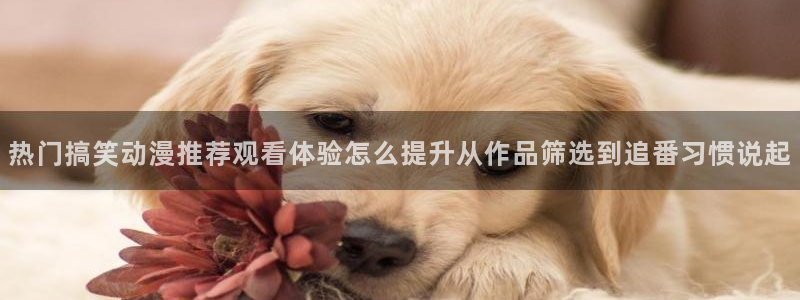 omofun国漫免费观看：热门搞笑动漫推荐观看体验怎么提升从作品筛选到追番习惯说起配图